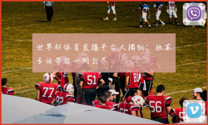 世界杯体育直播平台大揭秘：独家专访带你一网打尽