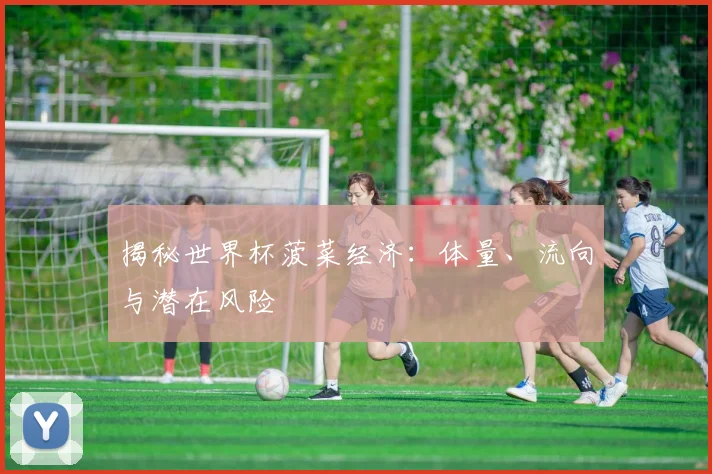揭秘世界杯菠菜经济:体量、流向与潜在风险