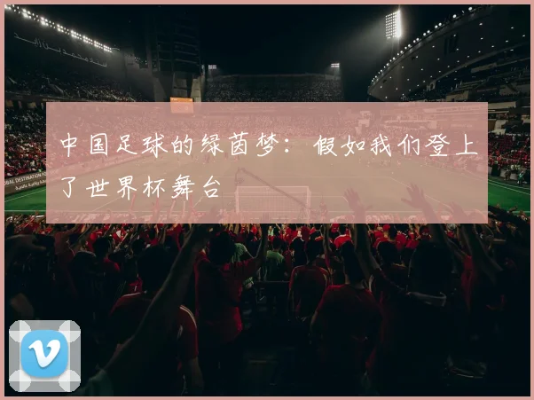 中国足球的绿茵梦：假如我们登上了世界杯舞台