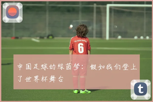 中国足球的绿茵梦：假如我们登上了世界杯舞台