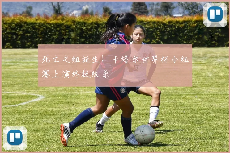 死亡之组诞生！卡塔尔世界杯小组赛上演终极绞杀